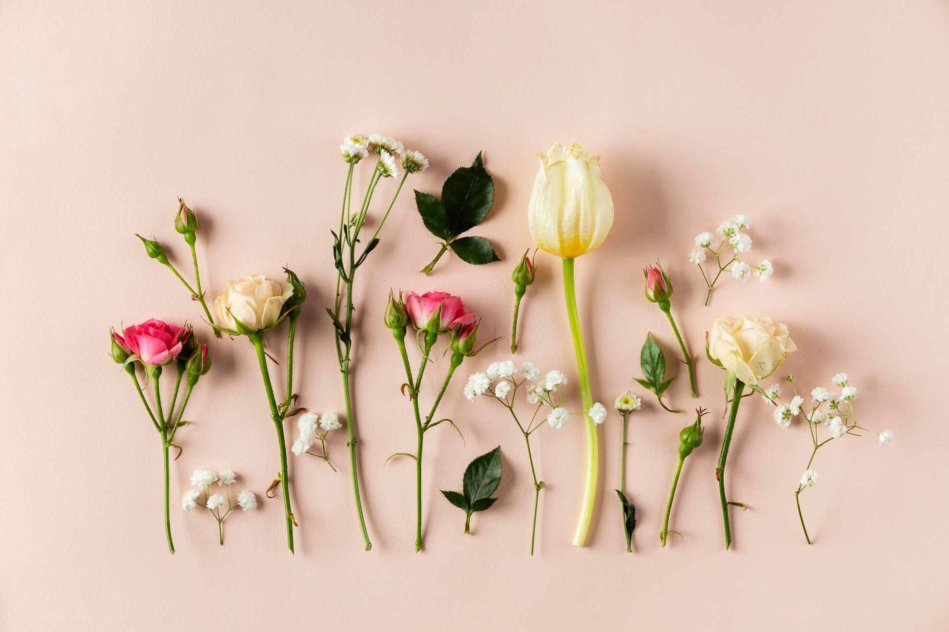 Flores